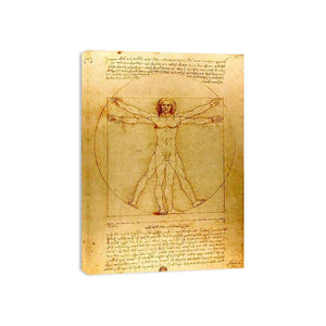 Vitruvian Man by Leonardo Da Vinci