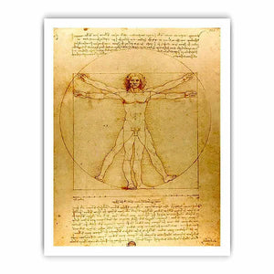Vitruvian Man by Leonardo Da Vinci