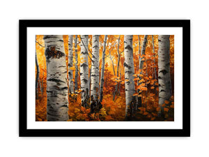 Birch Trees