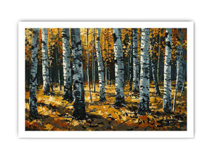 Birch Trees
