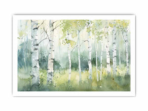 Birch Trees