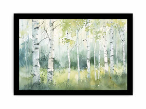 Birch Trees
