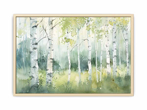 Birch Trees