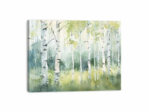 Birch Trees