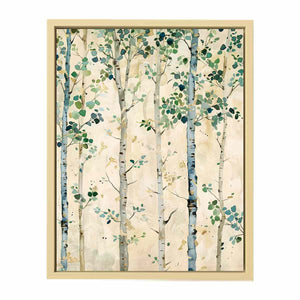 Birch Trees