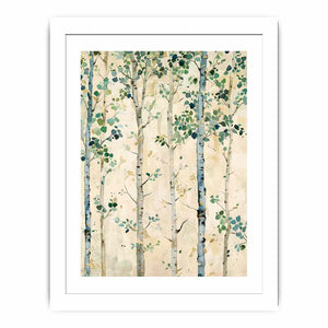 Birch Trees