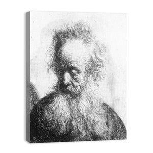 Old Man With Flowing Beard Looking Down Left 1631
Painting