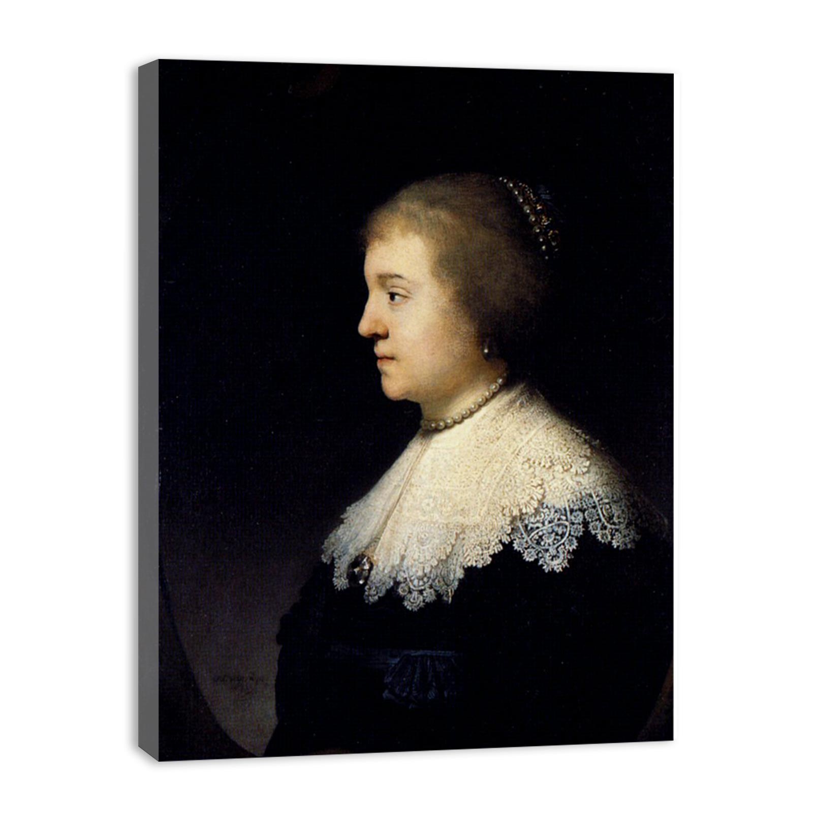 Portrait Of Amalia van Solms
Painting