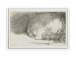 A sleeping Puppy Painting