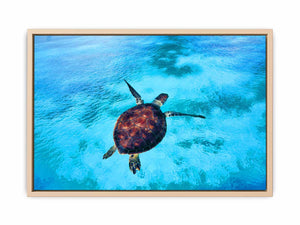 Sea Turtle Painting