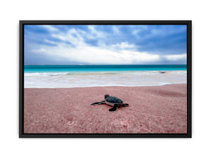Turtle on Beach Painting