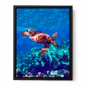 Sea Turtle Original Painting