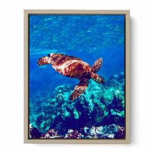 Sea Turtle Original Painting