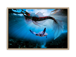Turtle and Fish Art