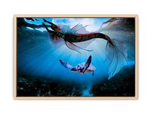 Turtle and Fish Art