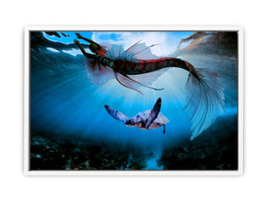 Turtle and Fish Art