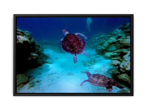 Deep Sea Turlte Painting