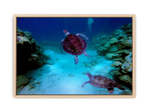 Deep Sea Turlte Painting