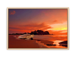 Beautiful Turtle Painting Artwrork