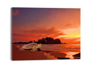 Beautiful Turtle Painting Artwrork