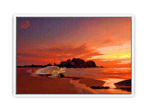 Beautiful Turtle Painting Artwrork