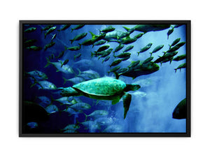 Turtle and Fish Painting