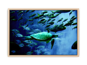 Turtle and Fish Painting