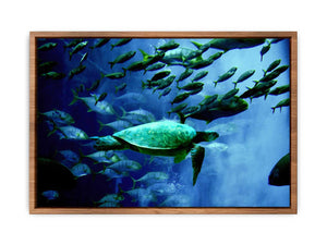 Turtle and Fish Painting