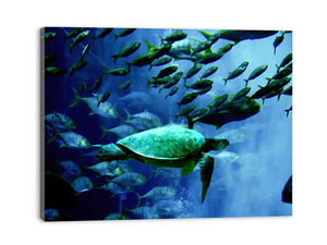 Turtle and Fish Painting