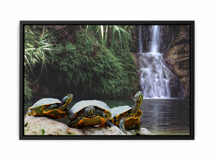 Turtle Oil Painting