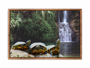 Turtle Oil Painting