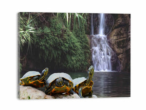 Turtle Oil Painting