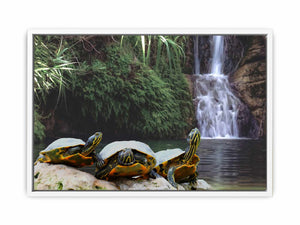 Turtle Oil Painting