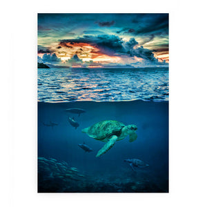 Turtle Wall art Oil Painting