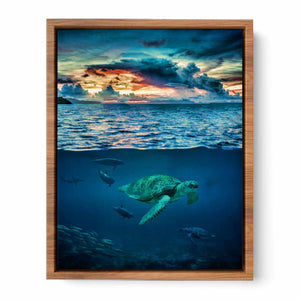 Turtle Wall art Oil Painting