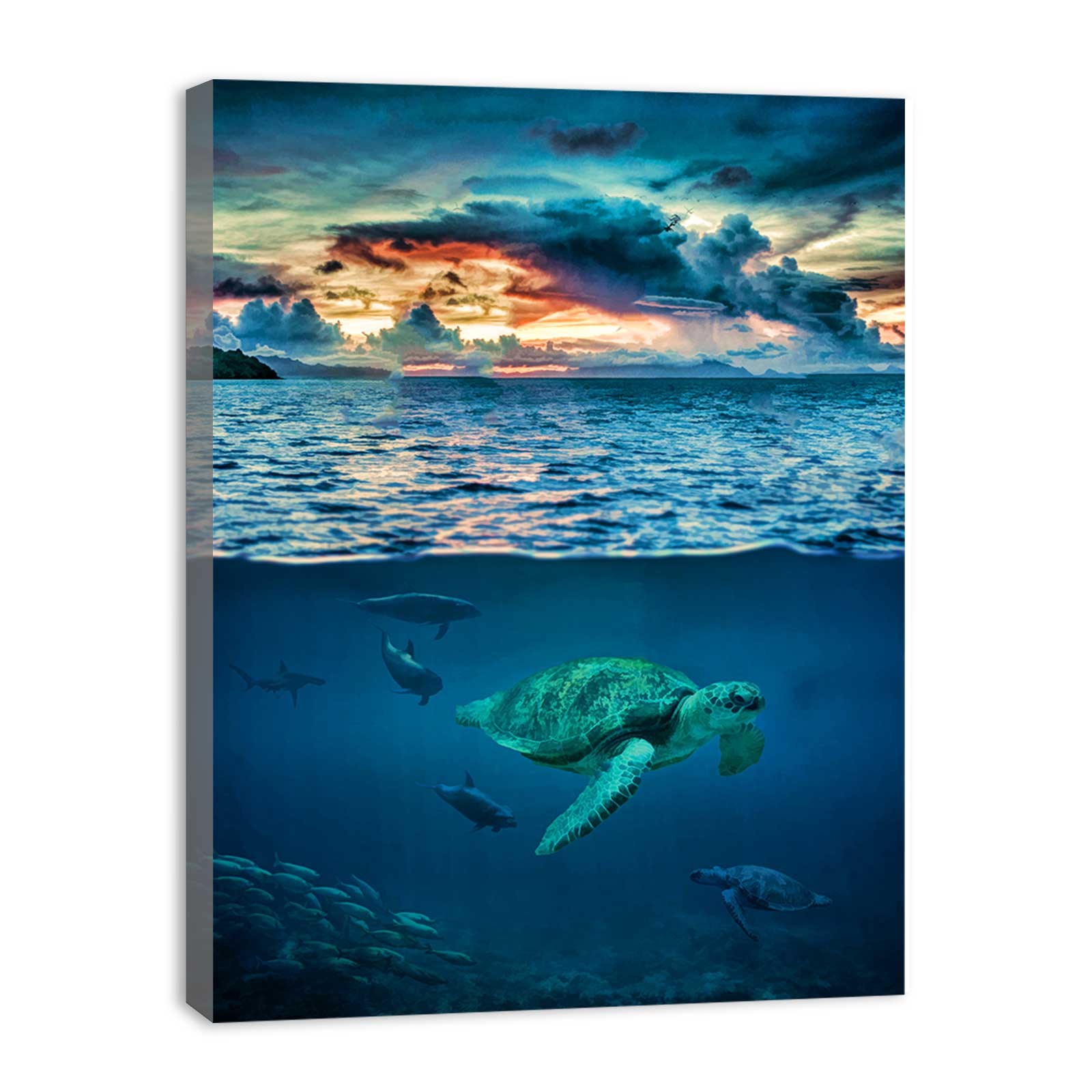 Turtle Wall art Oil Painting