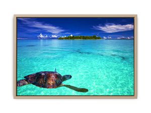 Turtle in Sea Painting