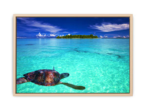 Turtle in Sea Painting