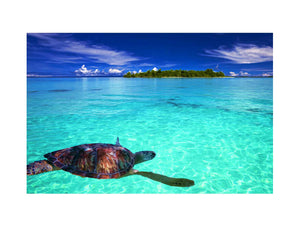 Turtle in Sea Painting