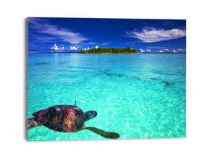Turtle in Sea Painting