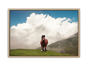 Horse Painting