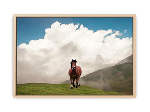 Horse Painting