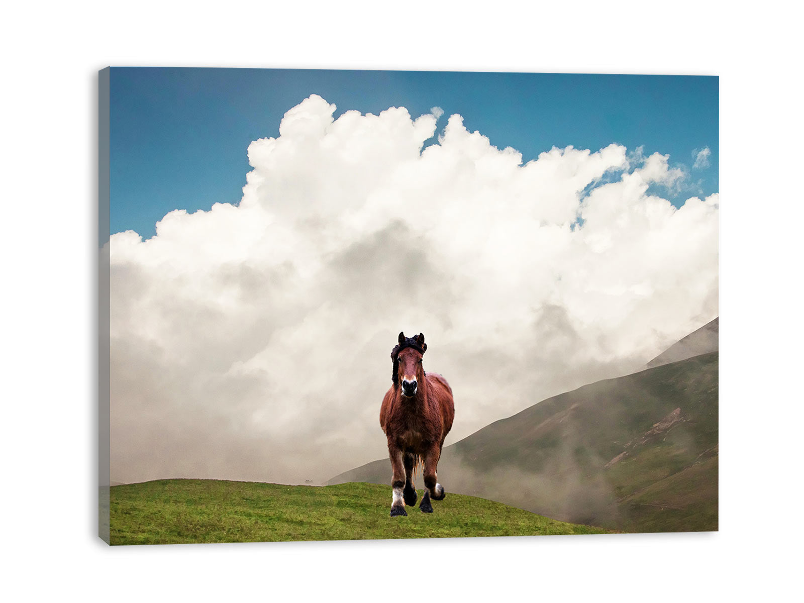 Horse Painting