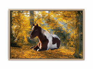 Horse Wall Art Painting