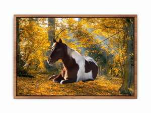 Horse Wall Art Painting