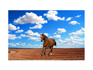 Walking Horse Painitng