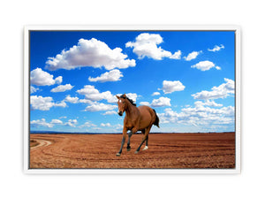 Walking Horse Painitng