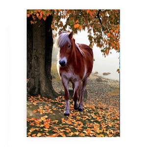 Spring Horse Painting
