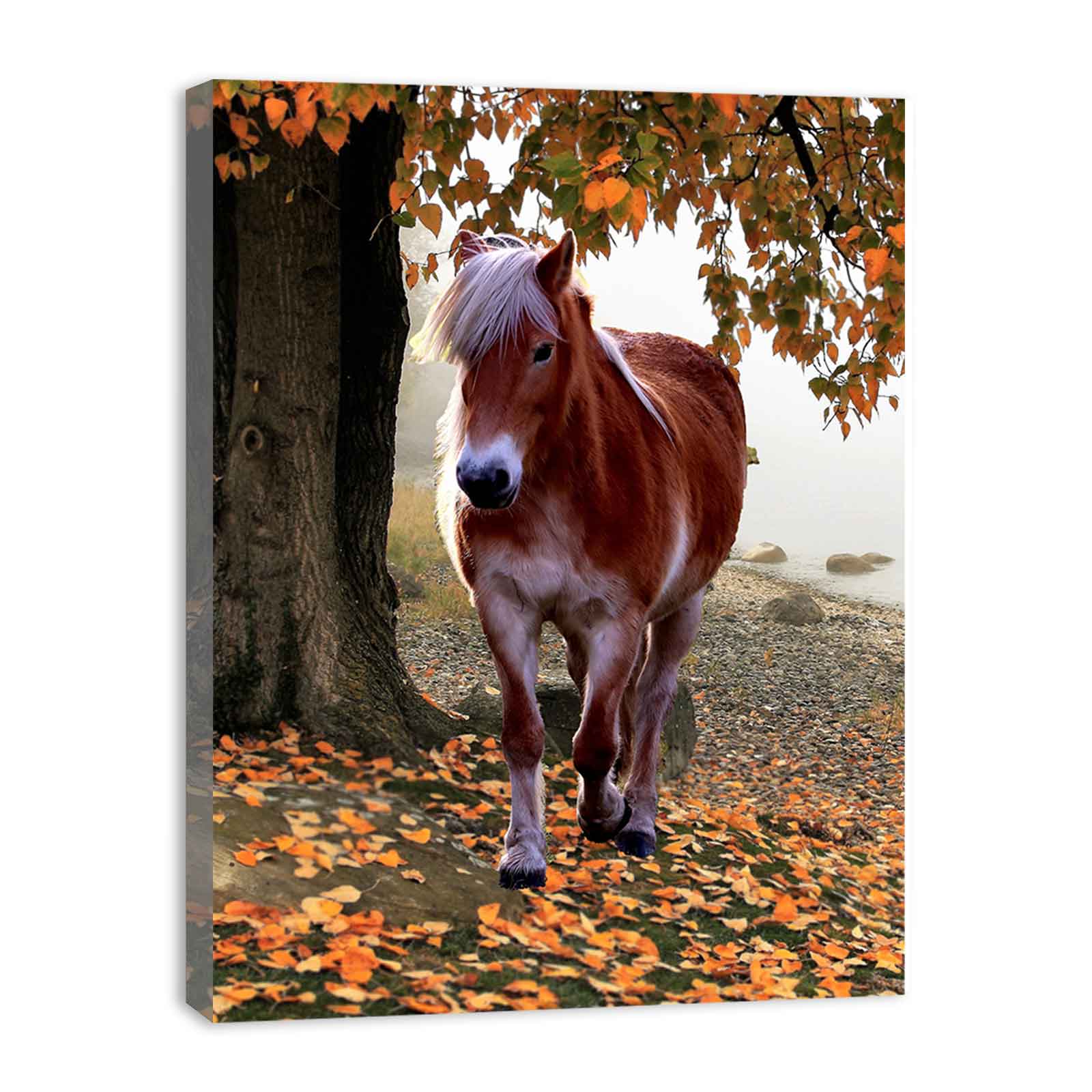 Spring Horse Painting