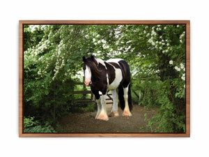 Stable Horse Painting